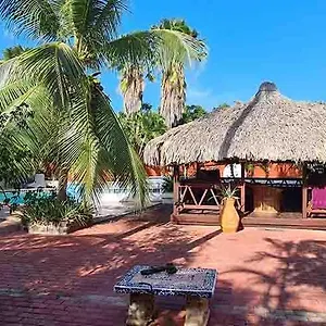 Woodstock Palmresort Curacao Alojamento de Acomodação e Pequeno-almoço Willemstad